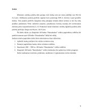 AB “Hansabankas” veiklos įvertinimas 5 puslapis