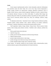 Lizingas kaip kreditavimo forma  2 puslapis