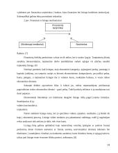 Lizingas kaip kreditavimo forma  13 puslapis