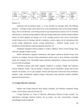 Lizingas kaip kreditavimo forma  15 puslapis