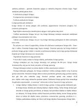 Lizingas kaip kreditavimo forma  9 puslapis