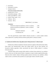 Biudžetas kaip įrankis įmonės tikslams pasiekti  20 puslapis