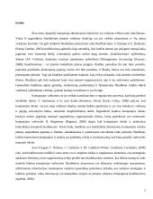 Biudžetas kaip įrankis įmonės tikslams pasiekti  3 puslapis