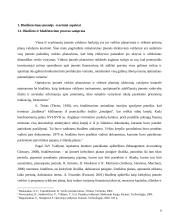 Biudžetas kaip įrankis įmonės tikslams pasiekti  6 puslapis