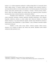 Biudžetas kaip įrankis įmonės tikslams pasiekti  7 puslapis