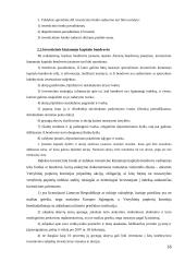 Investcinių fondų veikla  16 puslapis