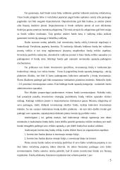 Investcinių fondų veikla  5 puslapis