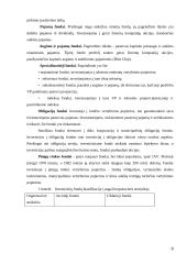 Investcinių fondų veikla  9 puslapis