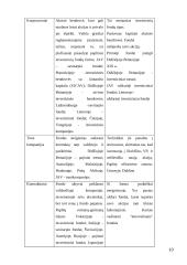 Investcinių fondų veikla  10 puslapis