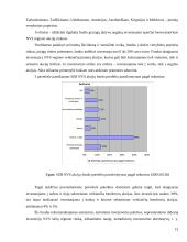 Investicinių fondų veikla Lietuvoje komercinių bankų pavyzdžiu 13 puslapis