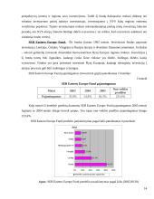 Investicinių fondų veikla Lietuvoje komercinių bankų pavyzdžiu 14 puslapis