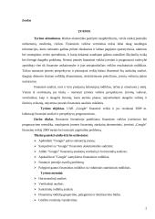 Google finansinė analizė 2 puslapis