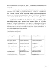 Google finansinė analizė 12 puslapis