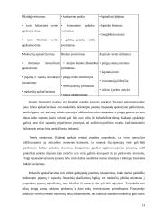 Google finansinė analizė 13 puslapis