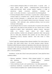 Google finansinė analizė 19 puslapis