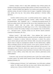 Google finansinė analizė 20 puslapis