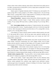 Google finansinė analizė 7 puslapis