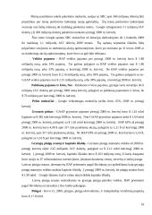 Google finansinė analizė 10 puslapis