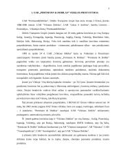 UAB ,,PORTMANN & DOBILAS” finansinė analizė 3 puslapis