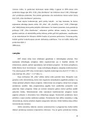 AB "Alita" finansinė analizė 18 puslapis