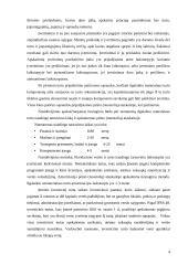 AB "Alita" finansinė analizė 4 puslapis