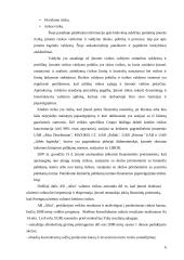 AB "Alita" finansinė analizė 6 puslapis