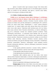 Įmonių finansinių rodiklių audito modeliai 11 puslapis