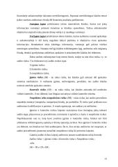 Įmonių finansinių rodiklių audito modeliai 12 puslapis