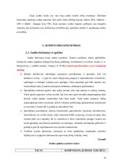 Įmonių finansinių rodiklių audito modeliai 13 puslapis