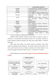 Įmonių finansinių rodiklių audito modeliai 14 puslapis