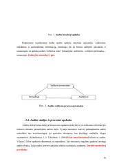 Įmonių finansinių rodiklių audito modeliai 15 puslapis