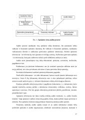 Įmonių finansinių rodiklių audito modeliai 16 puslapis