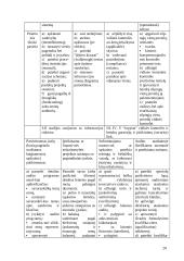 Įmonių finansinių rodiklių audito modeliai 19 puslapis
