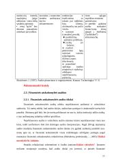Įmonių finansinių rodiklių audito modeliai 20 puslapis