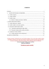 Įmonių finansinių rodiklių audito modeliai 3 puslapis