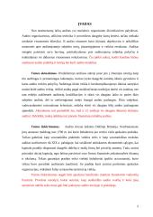 Įmonių finansinių rodiklių audito modeliai 4 puslapis