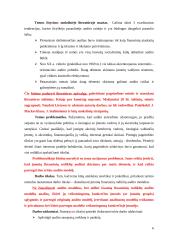 Įmonių finansinių rodiklių audito modeliai 5 puslapis