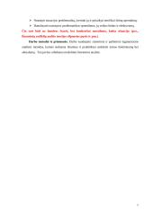 Įmonių finansinių rodiklių audito modeliai 6 puslapis