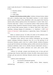 Įmonių finansinių rodiklių audito modeliai 8 puslapis