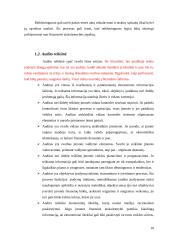 Įmonių finansinių rodiklių audito modeliai 9 puslapis