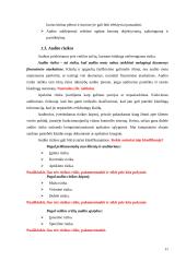 Įmonių finansinių rodiklių audito modeliai 10 puslapis