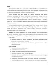 AB “Lietuvos geležinkeliai” turto valdymo efektyvumo analizė makroekonominiu požiūriu 2 puslapis