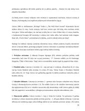 AB “Lietuvos geležinkeliai” turto valdymo efektyvumo analizė makroekonominiu požiūriu 13 puslapis