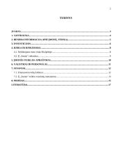 IĮ „Sanita“ finansinės rinkodaros analizė