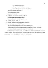 IĮ „Sanita“ finansinės rinkodaros analizė 13 puslapis