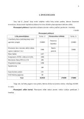 IĮ „Sanita“ finansinės rinkodaros analizė 5 puslapis