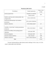 IĮ „Sanita“ finansinės rinkodaros analizė 6 puslapis