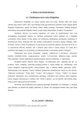 IĮ „Sanita“ finansinės rinkodaros analizė 7 puslapis