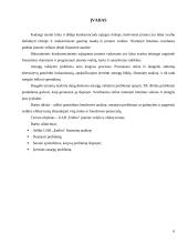 UAB “Emlita” finansinė analizė  2 puslapis