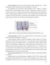 UAB “Emlita” finansinė analizė  19 puslapis